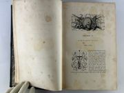 Histoire de France depuis l'établissement des francs dans la Gaule jusqu'en 1830. COMPLET en 2 tomes. Enrichie de dessins par Jules DAVID, gravés par V. Chevin. par Théodose BURETTE - Image 11