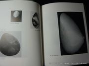 César. Rétrospective des sculptures. Catalogue d'exposition 1976 Musée Rath de Genève, Musée de Grenoble, MAM par César - Image 5