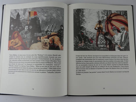 Cinq semaines de cruauté ou L'étrange histoire des demoiselles Montgolfière -collages. François Dumuchesky
