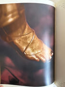 L'âge d'or de Dom Pérignon (les correspondances) Volume N°3. par Jean-Marie Laborde. Photographies de Tyen, Harald Gottschalk,  Paolo Roversi, Bernard Faucon, Keiichi Tahara. - Image 5