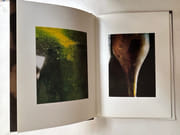 L'âge d'or de Dom Pérignon (les correspondances) Volume N°3. par Jean-Marie Laborde. Photographies de Tyen, Harald Gottschalk,  Paolo Roversi, Bernard Faucon, Keiichi Tahara. - Image 6