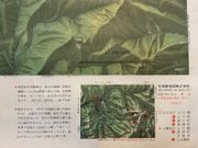 (JAPON) Carte géographique du Parc National Daisetsuzan par (Association d'alpinisme d'Asahikawa) - Image 5
