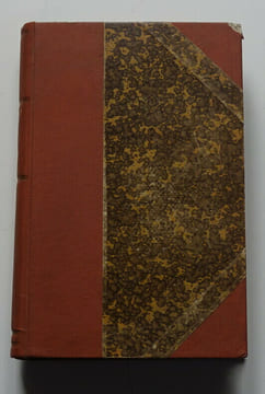 La Savelli. Roman passionnel sous le Second Empire. Gilbert Augustin-Thierry