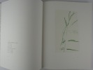 Baumzeichnungen. Drawings of a tree.. David Rabinowitch. Text von Dieter Schwarz.