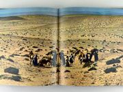 Image de livre