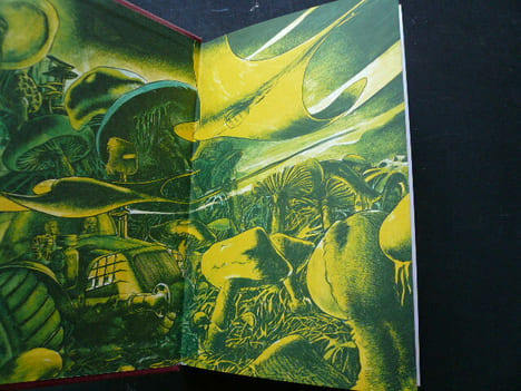 Omnivore. Orn.. Piers Anthony. Ill. Moro.