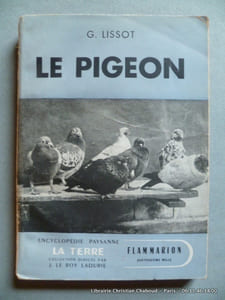 Le pigeon