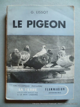 Le pigeon. G. Lissot