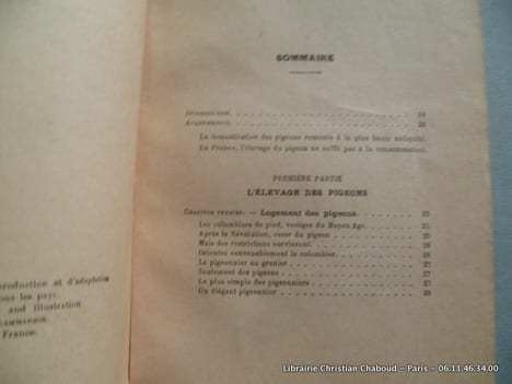 Le pigeon. G. Lissot
