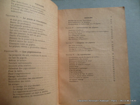 Le pigeon. G. Lissot