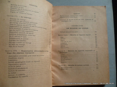 Le pigeon. G. Lissot