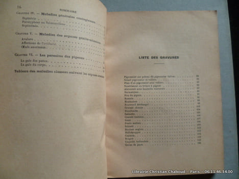 Le pigeon. G. Lissot