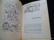 Chasseurs sachez chasser ou le semainier de la chasse. par Marcel Hauriac. Ill. originales de R. Worms. - Image 4