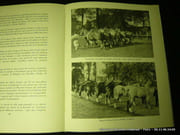 Les Haras Nationaux. L'Elevage et la Sélection du Cheval en France. par Edité sous le haut patronage de Monsieur le Ministref - Image 2