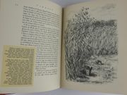 Image de livre