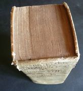 Armes spirituelles pour combattre les hérétiques ou catéchisme des veritez catholiques, Pour fortifier les Fidels dans la Foy, & convertir les Infidels. Et les documens que donna un Prêtre Catholique à un  homme de la Secte de Calvin. Par formes de Dispute, & d'entretiens familiers. Ce qui a servy encore à la conversion de plusieurs Hérétiques des plus obstinez dans leurs erreurs.  par Par un Prêtre Chapelain de l'Insigne Eglise Collegiale de Saint Amé à Douay.  - Image 2