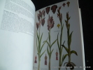 Guide des orchidées d'Europe, d'Afrique du Nord et du Proche-Orient.. John G. Williams. Andrew E. Williams. Norman Arlott