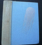 L'âge des étoiles. Citoyen de la galaxie. par Robert Heinlein. Illustrations de Raimondo. - Image 1