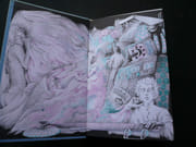 L'âge des étoiles. Citoyen de la galaxie. par Robert Heinlein. Illustrations de Raimondo. - Image 2