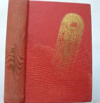 Les chrysalides. Chocky. John Wyndham. Illustrations de Cathy Millet
