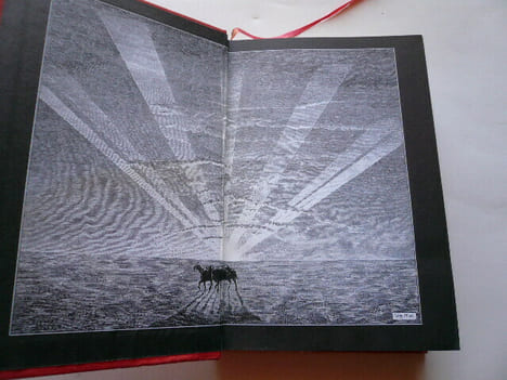 Les chrysalides. Chocky. John Wyndham. Illustrations de Cathy Millet