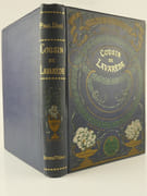 Cousin de Lavarède. Les voyages excentriques. par Paul D'IVOI - Image 1