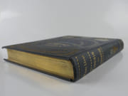 Cousin de Lavarède. Les voyages excentriques. par Paul D'IVOI - Image 2