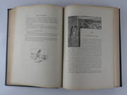 Cousin de Lavarède. Les voyages excentriques. par Paul D'IVOI - Image 7