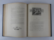 Cousin de Lavarède. Les voyages excentriques. par Paul D'IVOI - Image 8