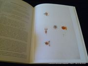 Les méduses de François Péron et de Charles-Alexandre Lesueur, un autre regard sur l'expédition Baudin. Notes sur le temps présent. Envoi autographe signé. par Goy Jacqueline.  - Image 2