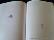 Les méduses de François Péron et de Charles-Alexandre Lesueur, un autre regard sur l'expédition Baudin. Notes sur le temps présent. Envoi autographe signé. par Goy Jacqueline.  - Image 3