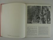 Le viol d'Aimée par Aimée de... - Image 2