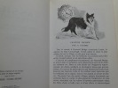 Lassie chien fidèle. Knight, Eric. Texte français de Janine de Villebonne. Illustrations de Albert Chazelle