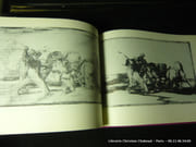 La Tauromaquia. 33 eaux-fortes du tirage original suivies de 11 planches inédites, avec 15 épreuves d'état, 42 esquisses préparatoires et 7 dessins et gravures divers par Francisco Goya y Lucientes. Introduction, étude et présentation par Enrique Lafuente Ferrari. Trad. de Mathilde Pomès - Image 3