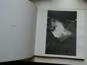 Entre chien et loup par Carel Fonteyne - Image 2