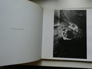 Entre chien et loup par Carel Fonteyne - Image 3