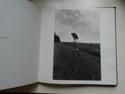 Entre chien et loup par Carel Fonteyne - Image 4