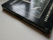 Entre chien et loup par Carel Fonteyne - Image 5