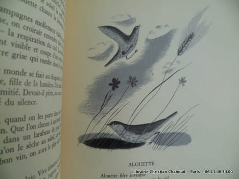 Bestiaire des songes. René Meurant. Illustrations de Elisabeth Ivanovsky.