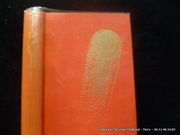 Le monde des Ptavvs par Larry Niven. Dessins originaux de Philip Caza - Image 2