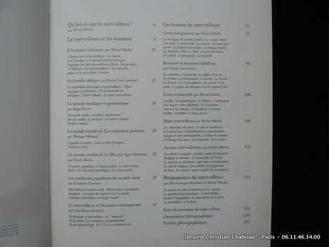 Le Merveilleux. L'imaginaire et les croyances en Occident. Michel Meslin