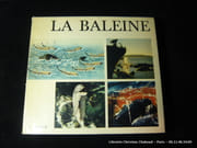La baleine par Ouvrage collectif conçu et réalisé par Tre Tryckare. - Image 1