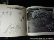 La baleine par Ouvrage collectif conçu et réalisé par Tre Tryckare. - Image 3