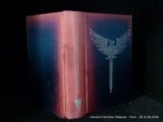 Le tarnier de Gor. Le banni de Gor par John Norman