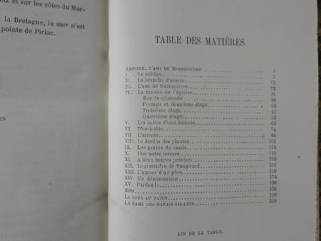 Antoine l'ami de Robespierre. La Tour au païen - La dame des marais salants. Récits dans la Tourelle. X.-B. Saintine