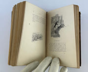 Atala. Illustrations de Gambard, Marold et Rossi par François René Chateaubriand - Image 7