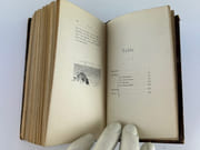 Atala. Illustrations de Gambard, Marold et Rossi par François René Chateaubriand - Image 8