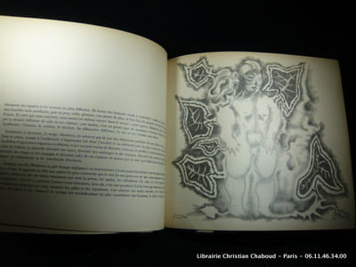 Jean Lurçat. Discours de réception à l'académie des beaux-arts le 3 juin 1964. Raison d'une déraison. Suivi de quelques textes sur la tapisserie murale.
