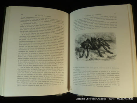 LA GUYANE FRANÇAISE - Notes et souvenirs d'un voyage exécuté en 1862-1863 par Frédéric Bouyer. Ouvrage illustré de types, de scènes et de paysages par ...