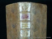 Le Spectacle de la Nature ou Entretiens sur les Particularités de l'Histoire Naturelle Qui ont paru les plus propres à rendre les Jeunes-Gens curieux, & à leur former l'esprit. Tome sixième, contenant ce qui regarde l'Homme en Société par Pluche - Image 2